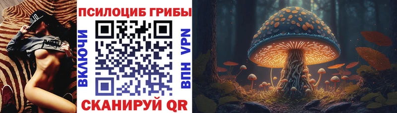 Купить где  Алатырь  Галлюциногенные грибы мицелий 