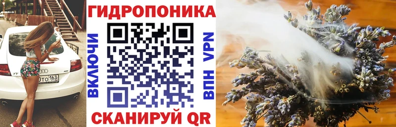Купить где  Алатырь  Бошки Шишки ГИДРОПОН 